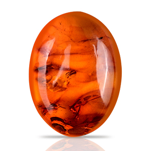 Amber (Kahruva) Stone Thumbnail