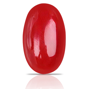 Red Coral (Japan) Thumbnail