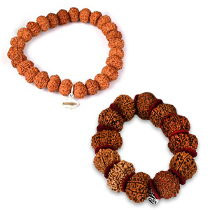 11-Mukhi-Bracelet