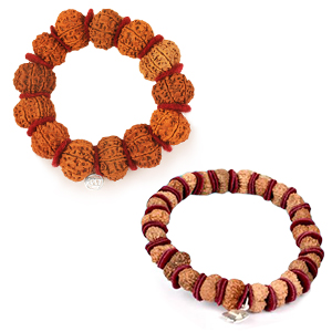 14-Mukhi-Bracelet