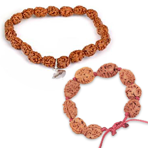 2-Mukhi-Bracelet