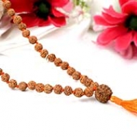 6 mukhi Mars Power