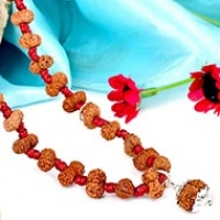 15 mukhi Pashupati Mala