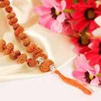 14 mukhi Hanuman Mala