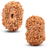 Java (Indonesian) Rudraksha