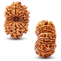 Nepal Rudraksha