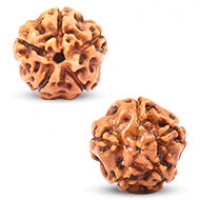 Java (Indonesian) Rudraksha