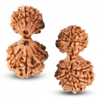 Nepal Rudraksha