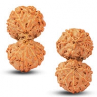 Java (Indonesian) Rudraksha