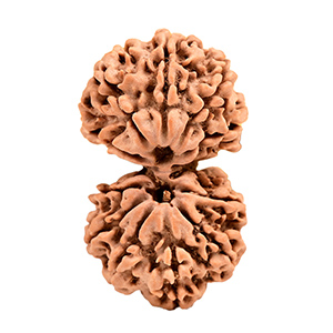 Gaurishankar Nepal Rudraksha Thumbnail