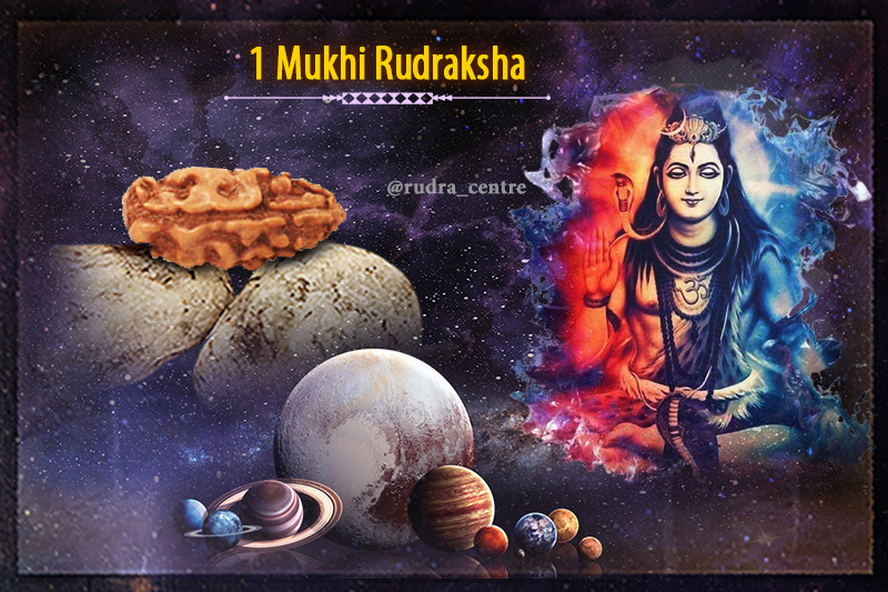 1 Mukhi Rudraksha