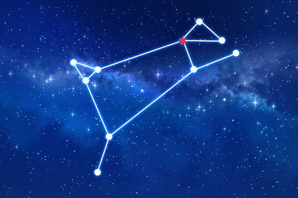 Rudraksha as per Ashwini Nakshatra (Constellation)