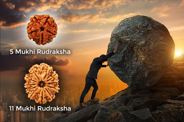 Improves Problems Solving Ability with Rudraksha