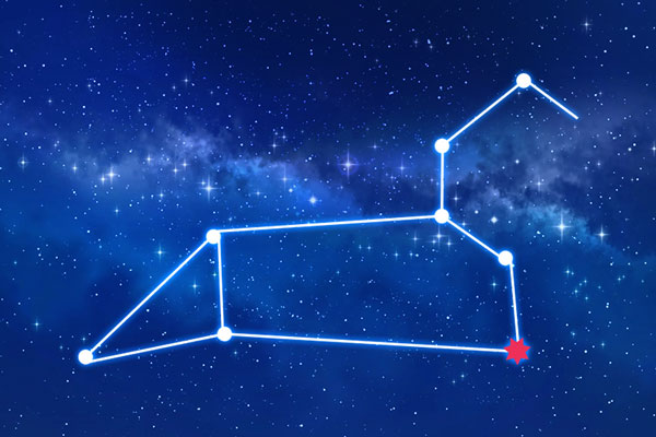 Rudraksha as per Magha Nakshatra (Constellation)