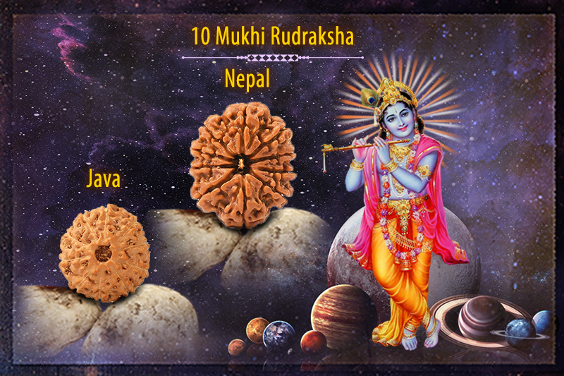 10 Mukhi Rudraksha