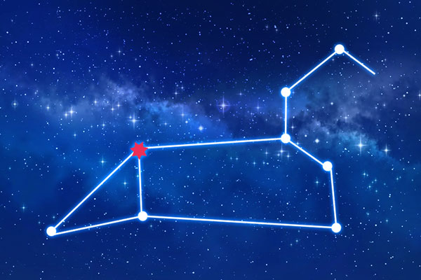 Rudraksha as per Purva Phalguni Nakshatra (Constellation)