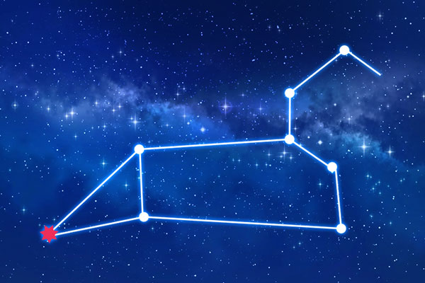 Rudraksha as per Uttara Phalguni Nakshatra (Constellation)