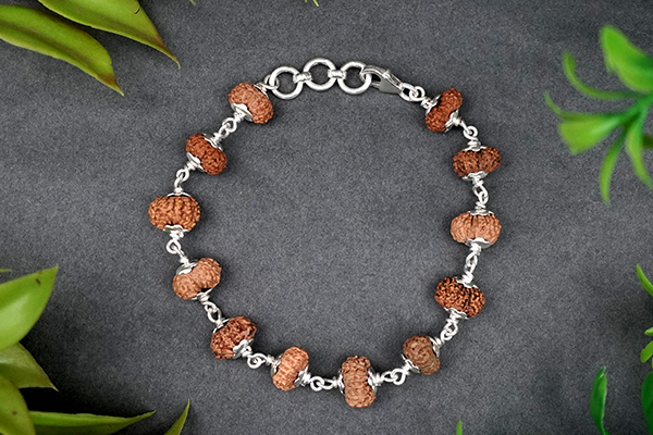 14 Mukhi Rudraksha Bracelets