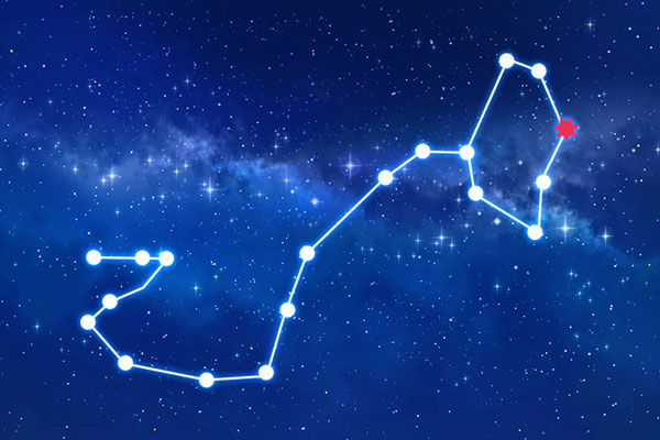 Rudraksha as per Anuradha Nakshatra (Constellation)