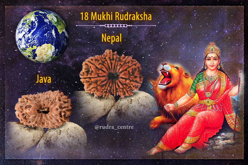 18 Mukhi Rudraksha
