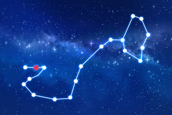 Rudraksha as per Mula Nakshatra (Constellation)