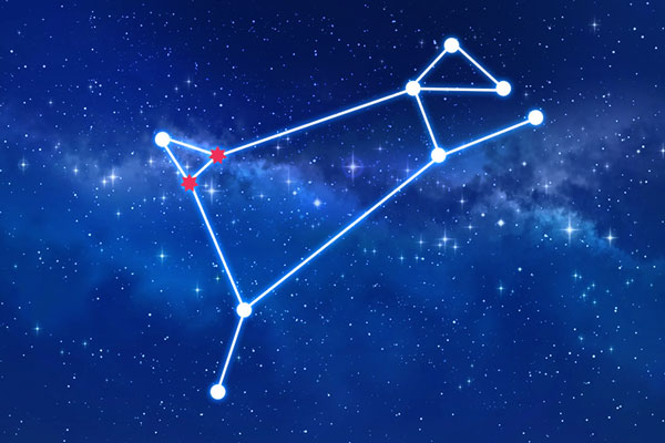 Rudraksha as per Bharani Nakshatra (Constellation)