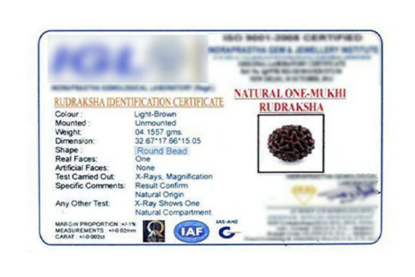Fake Round One Mukhi Certificate Issued By Lab In Delhi