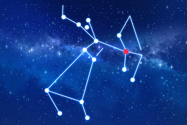 Rudraksha as per Purvashadha Nakshatra (Constellation)