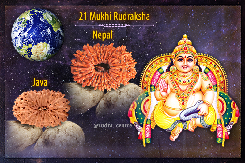 21 Mukhi Rudraksha