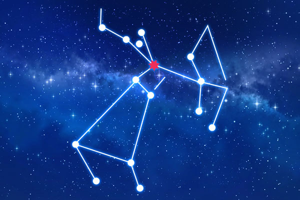 Rudraksha as per Uttarashadha Nakshatra (Constellation)