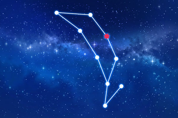 Rudraksha as per Dhanishtha Nakshatra (Constellation)