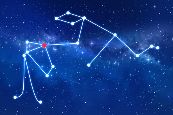 Rudraksha as per Shatabhisha Nakshatra (Constellation)