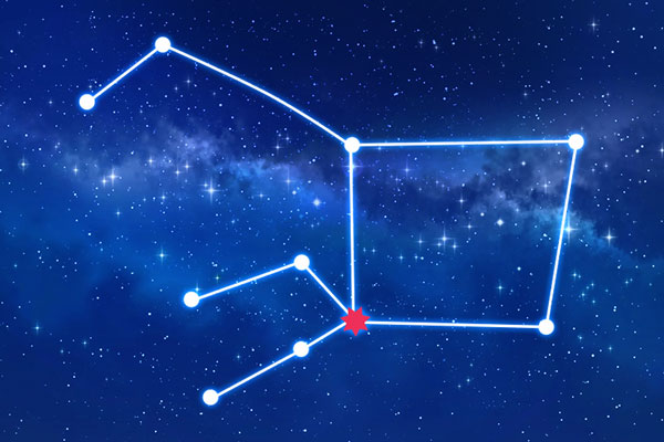 Rudraksha as per Purva Bhadrapada Nakshatra (Constellation)