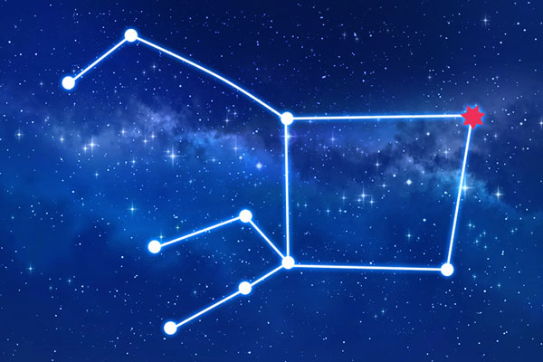 Rudraksha as per Uttara Bhadrapada Nakshatra (Constellation)