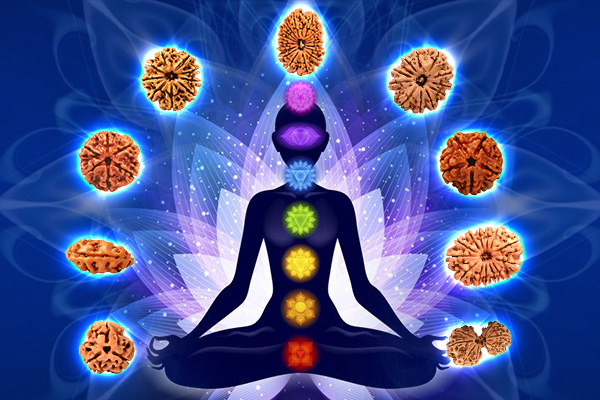 Balances the ChakrasResolves Past Karmas with Rudraksha
