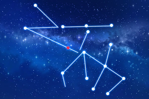 Rudraksha as per Rohini Nakshatra (Constellation)