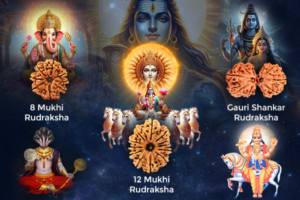 Blessings of Bhagwan Shiva, Other Deities & PlanetsResolves Past Karmas with Rudraksha