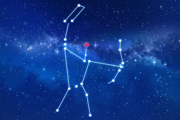 Rudraksha as per Mrigashira Nakshatra (Constellation)