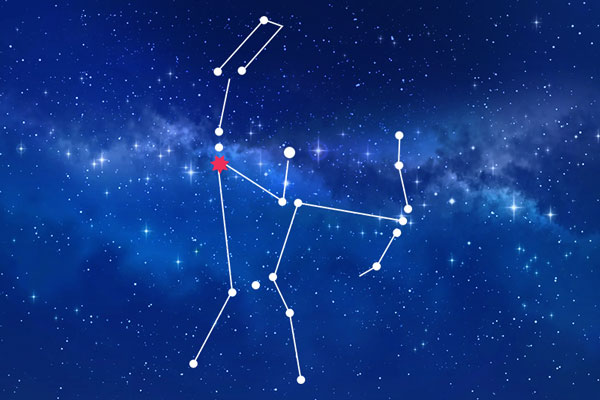 Rudraksha as per Ardra Nakshatra (Constellation)