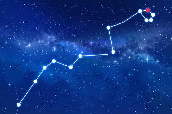 Rudraksha as per Ashlesha Nakshatra (Constellation)