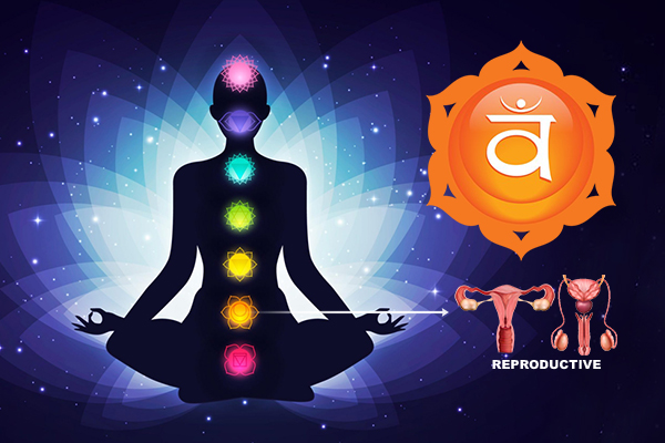 About Swadhisthana Chakra