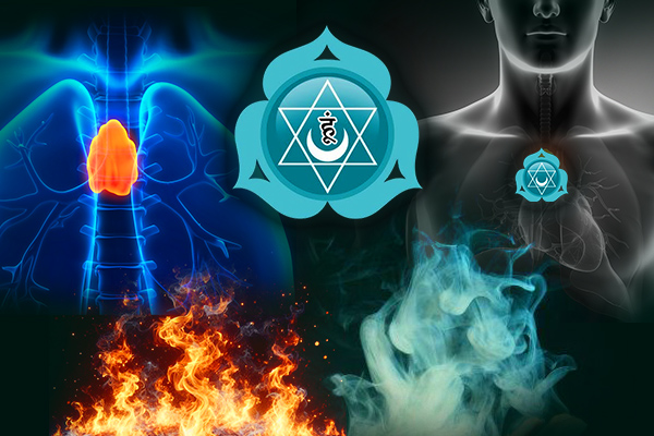 About Thymus Chakra