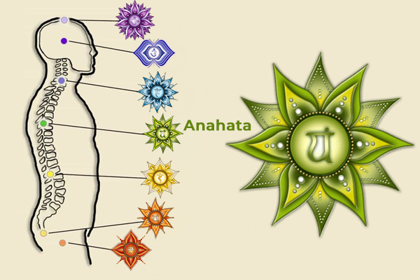 What is the Chakra System