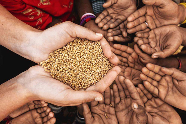 Nirjala Ekadashi Daan Donation