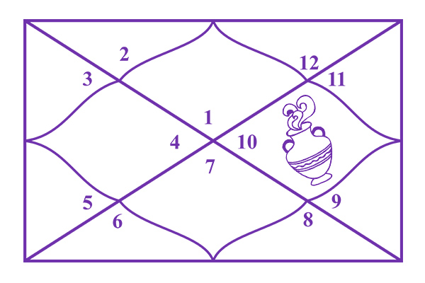 Aquarius in the 10th House