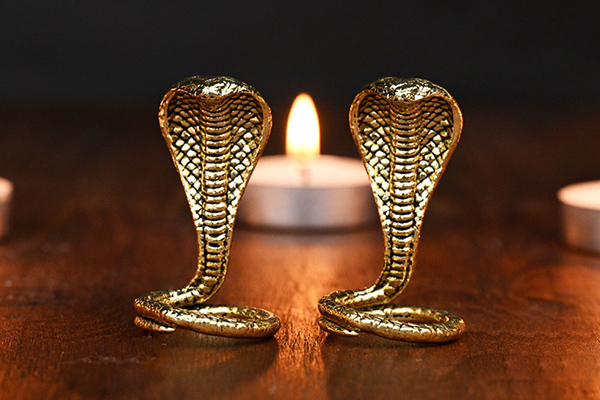 Ashtadhatu Naag Naagin Pair