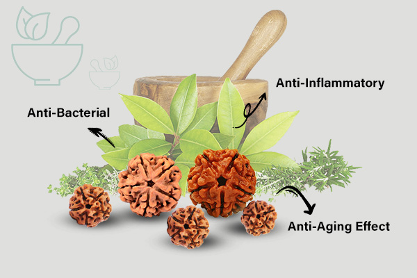 Ayurvedic Research on Rudraksha