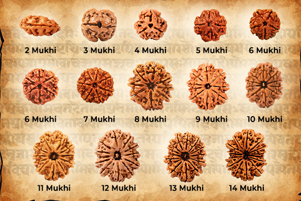 Benefits Of Rudraksha as Per Rudraksha Jabala Upanishad