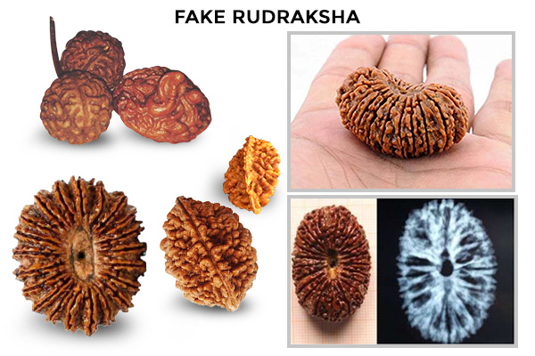Beware of Fake and Manipulated Rudraksha Beads