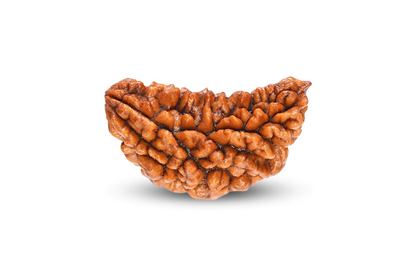 Bhadraksha